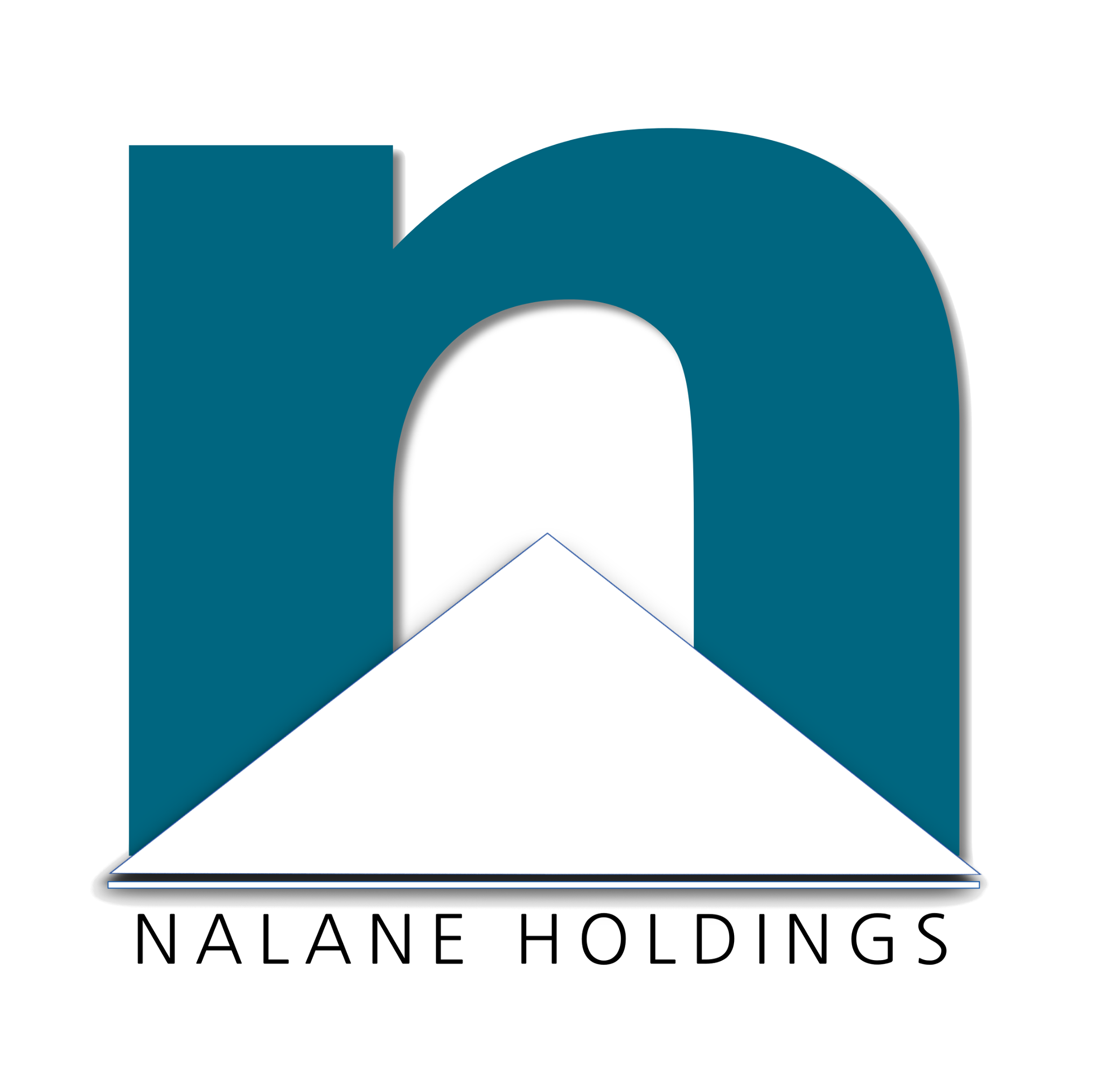 Nalane Holdings logo